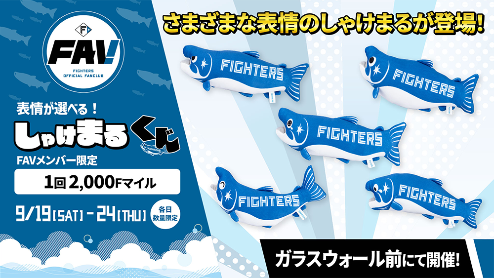 しゃけまるくじ banner