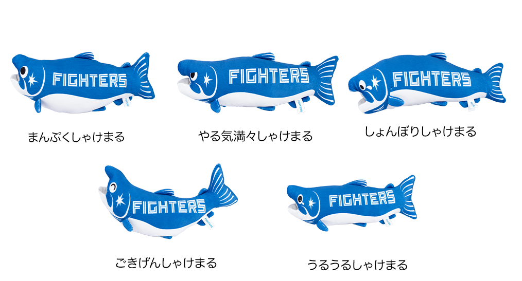 しゃけまるくじ 表情一覧