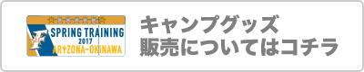 キャンプグッズ販売についてはコチラ