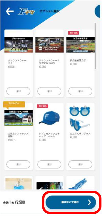 オプション選択画面