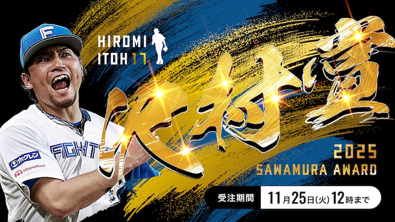 24時間以内発送』『匿名発送』ファイターズ 試合記念バッジセット 9個