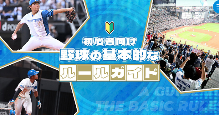 野球のルールガイド