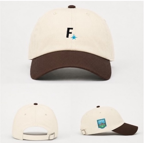 Fighters CAP DAY 2026