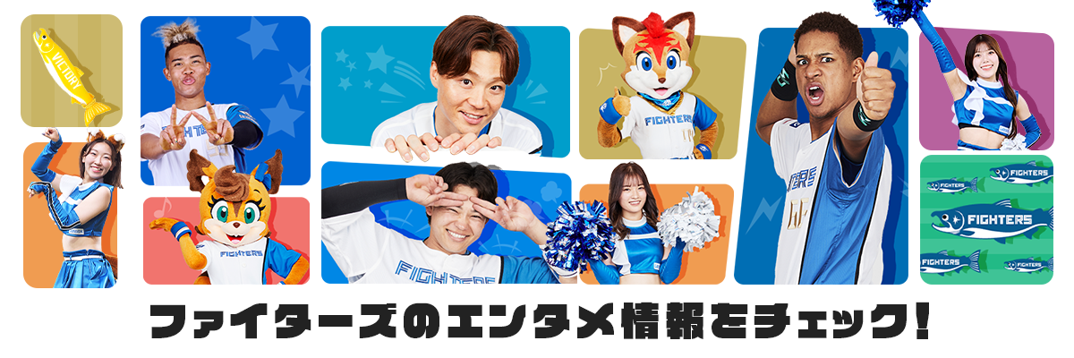 エンタメファイターズ