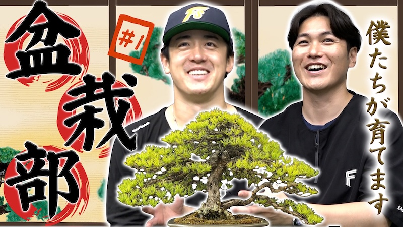 盆栽部 #1