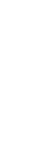 kikuchi