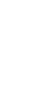 shibata