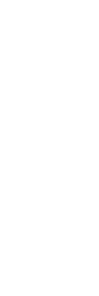 yamasaki