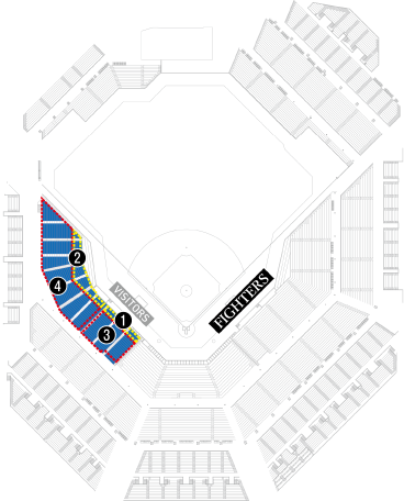 内野席 3塁側 FIELD LEVEL