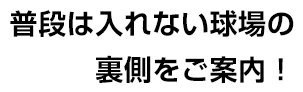 普段みられない球場の裏側が見られる！