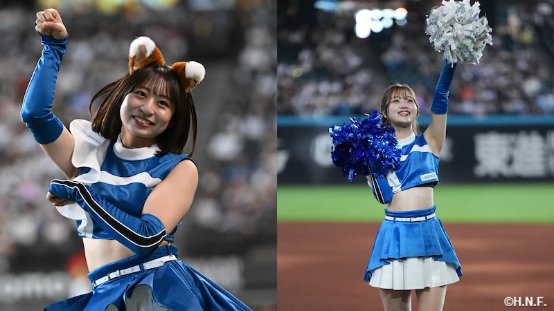 ファイターズガール