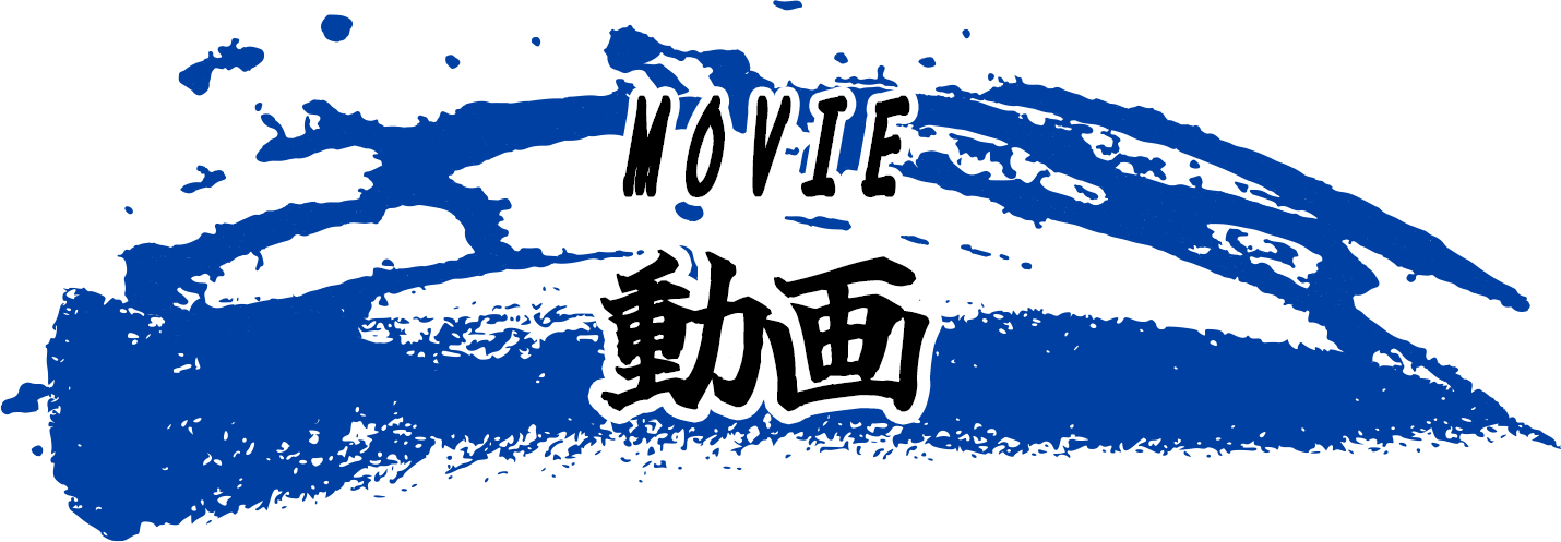動画