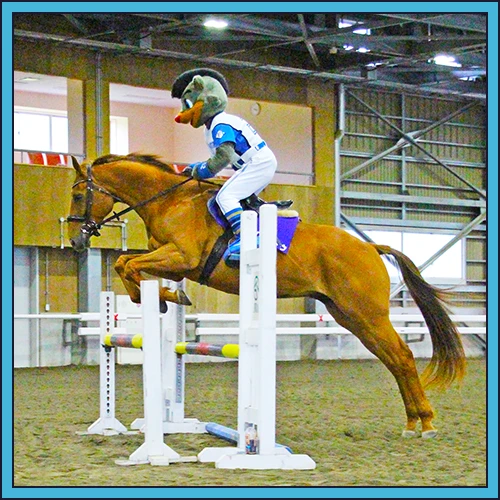 乗馬をするB・B