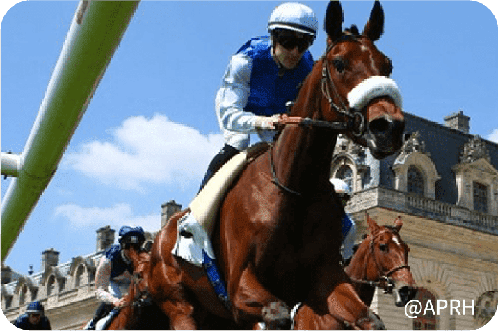 C.ルメール騎手