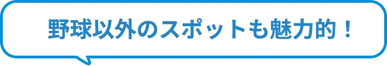 野球以外のスポットも魅力的！