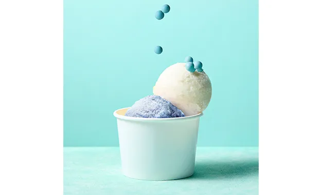 【限定商品】HOKKAIDO BLUE&WHITE～立夏＆カカオミルク