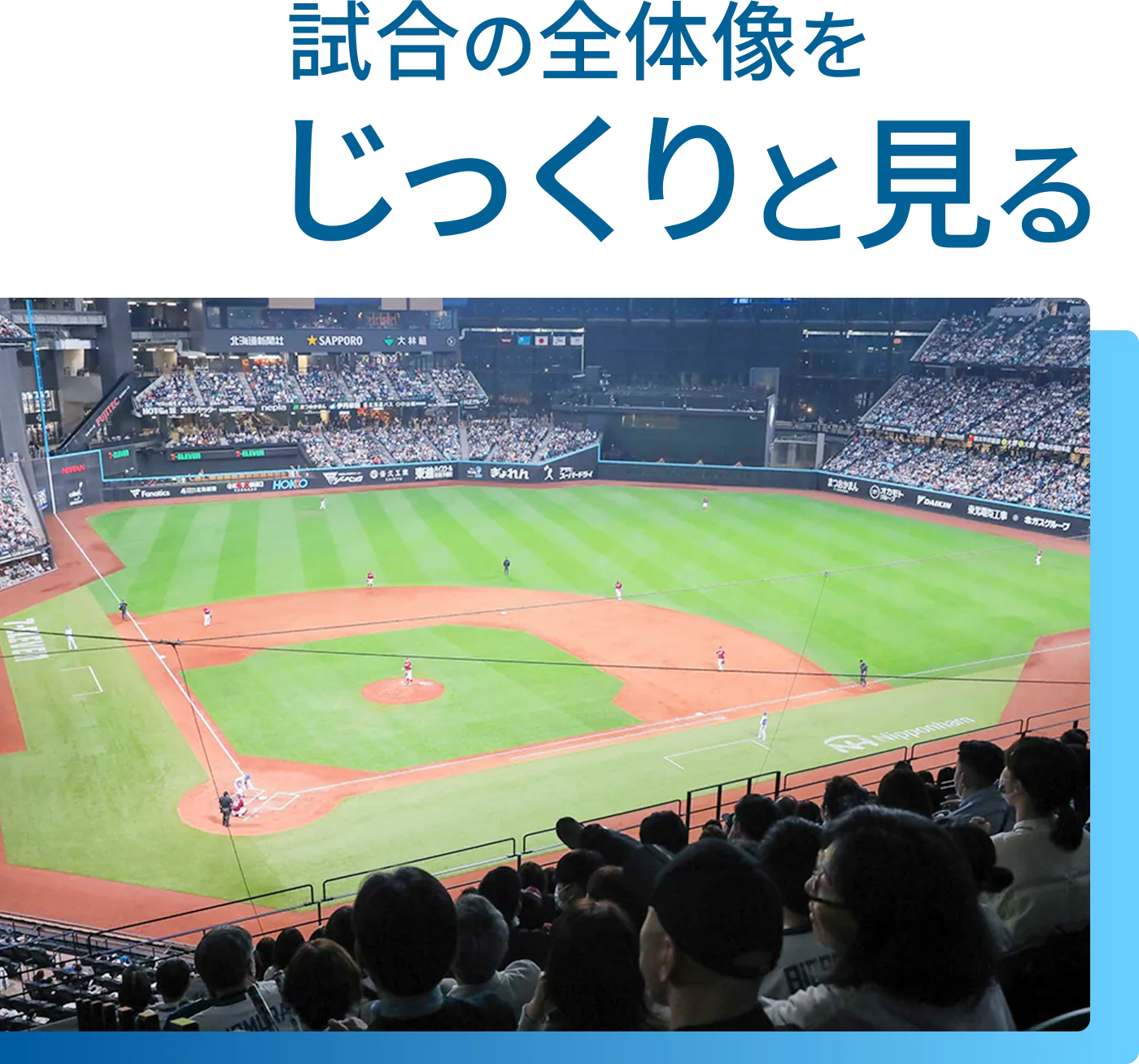 試合の全体像をじっくりと見る画像